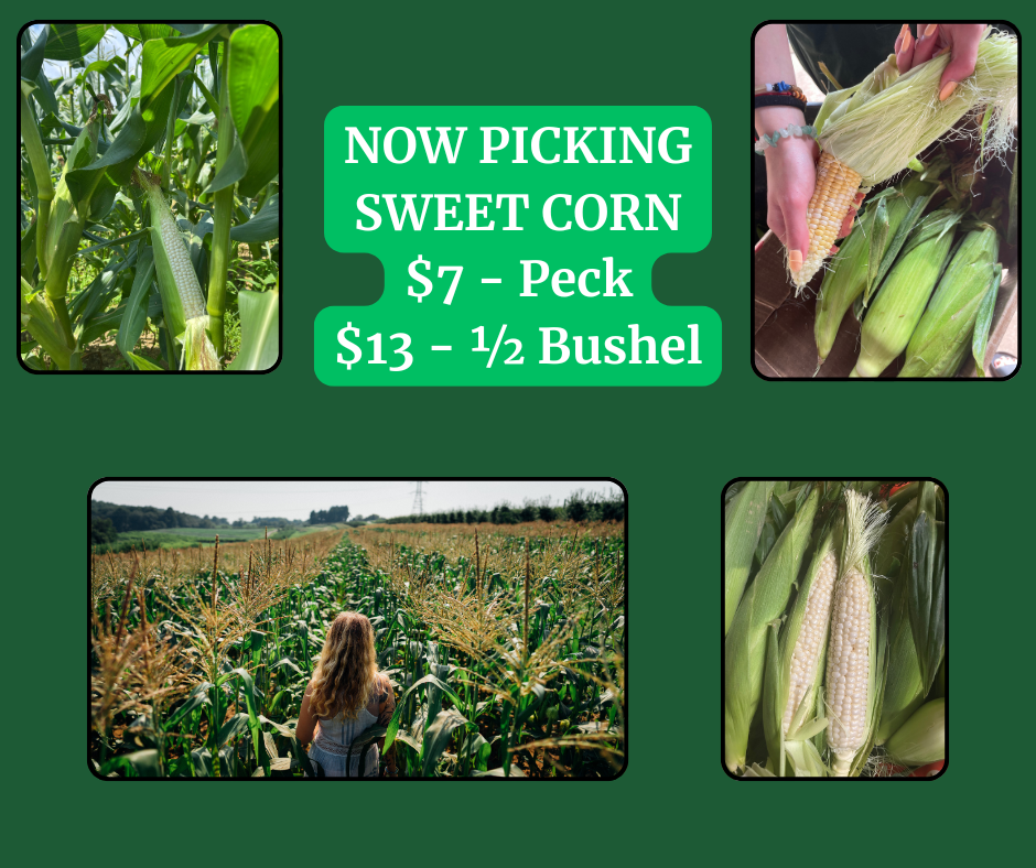 Highland Orchards, Inc. in West Chester, PA (2)