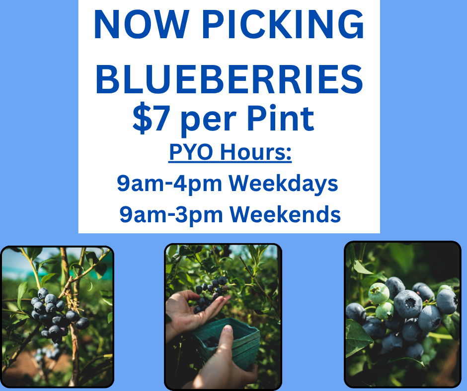 Highland Orchards, Inc. in West Chester, PA (4)