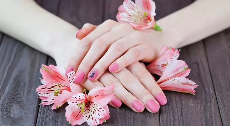 Snappy Nails & Spa in Denver, CO (5)