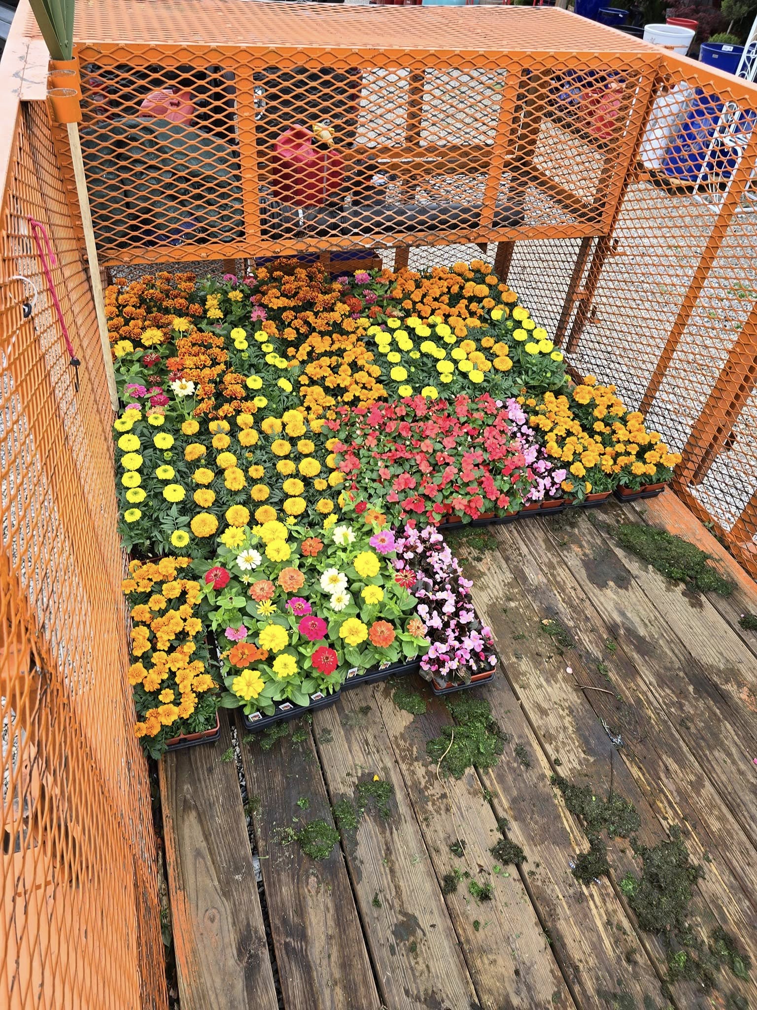 Wilson's Yard Work, LLC in Tyler, TX (2)