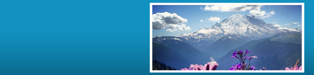 Tate & Oellrich Inc PS Cpas in Issaquah, WA (2)