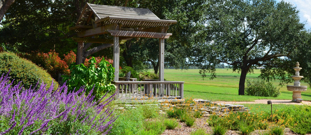 Martha's Bloomers in Navasota, TX (2)