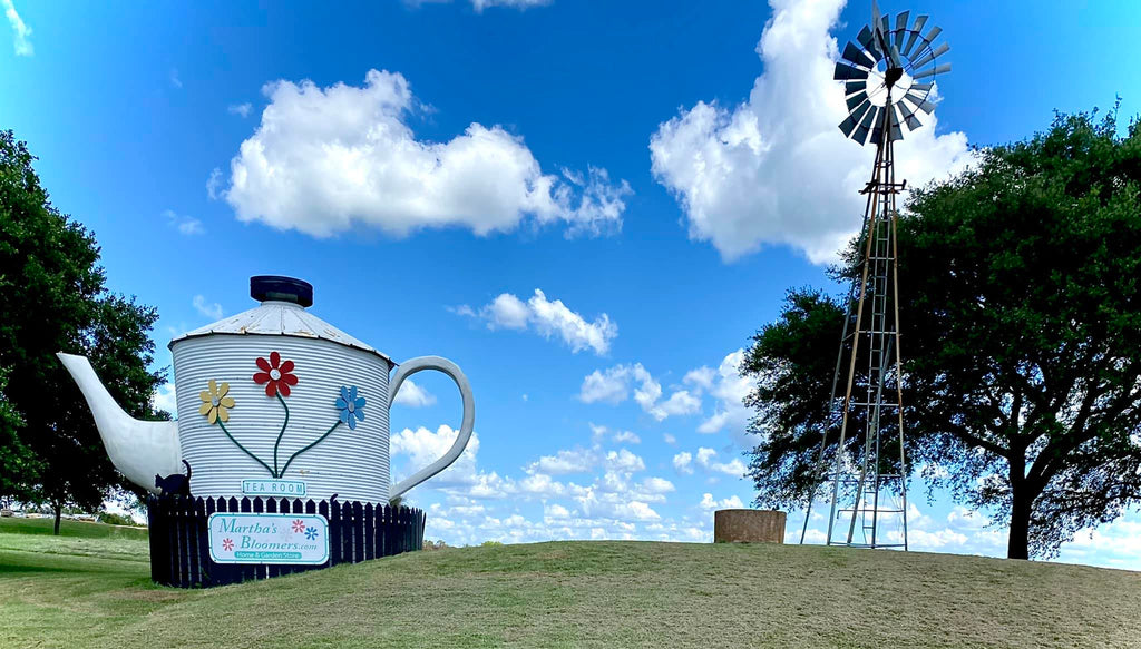 Martha's Bloomers in Navasota, TX (3)