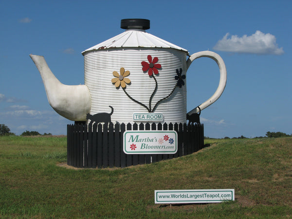Martha's Bloomers in Navasota, TX (6)