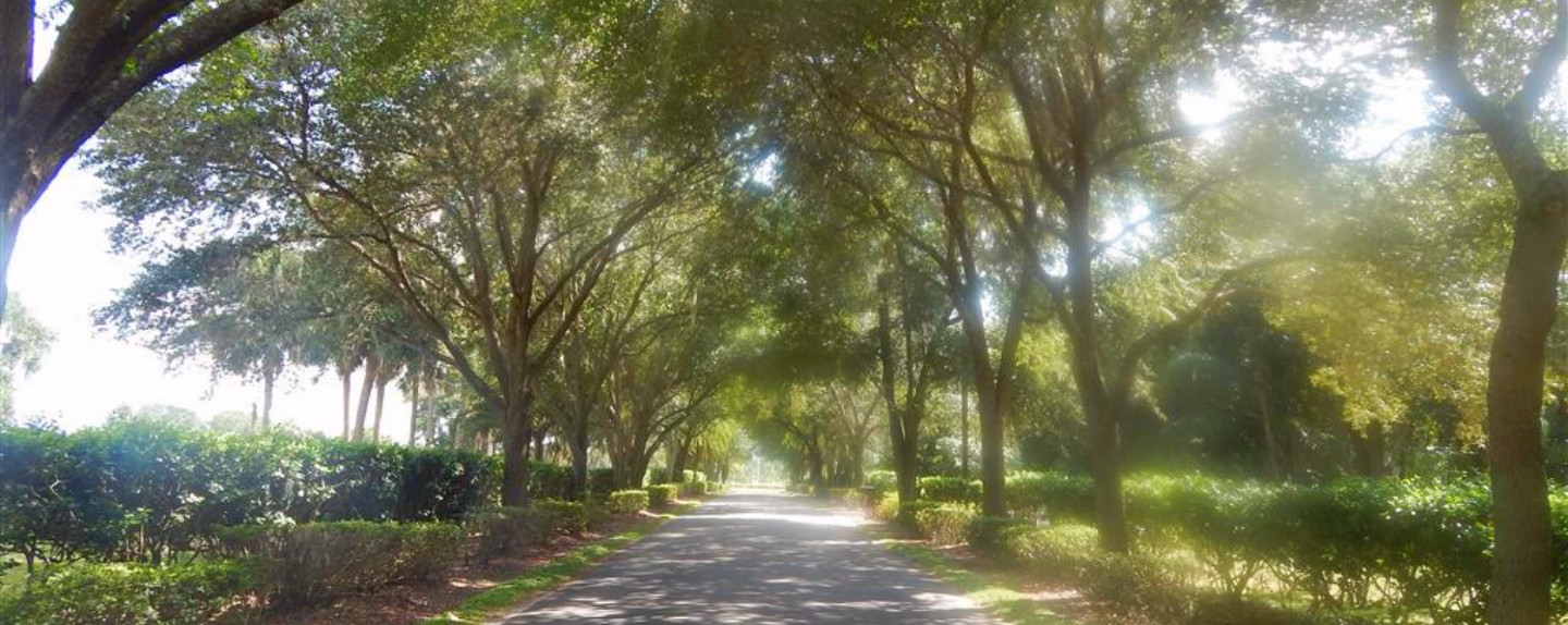 Westlake Real Estate Co in Lake Wales, FL (5)