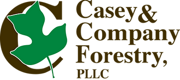 Casey & Co Realty LLC in Wilkesboro, NC (3)