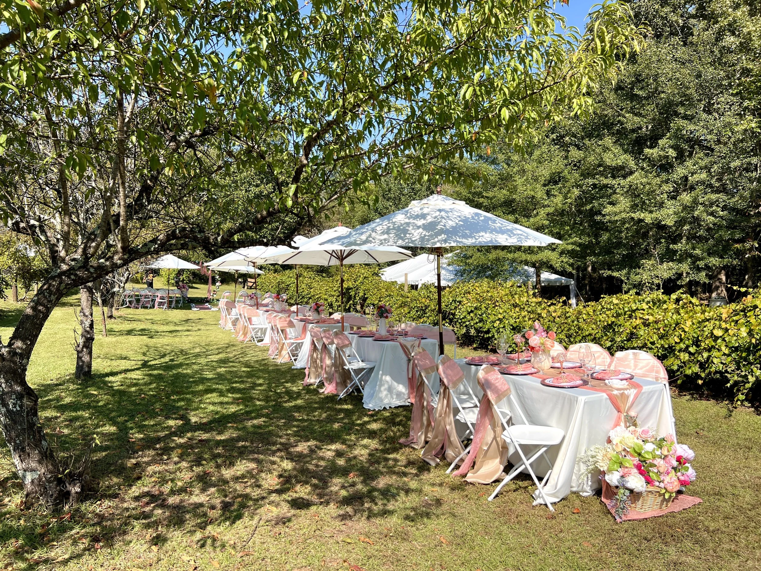Norwood Vineyard & Gardens in Jonesboro, GA (2)