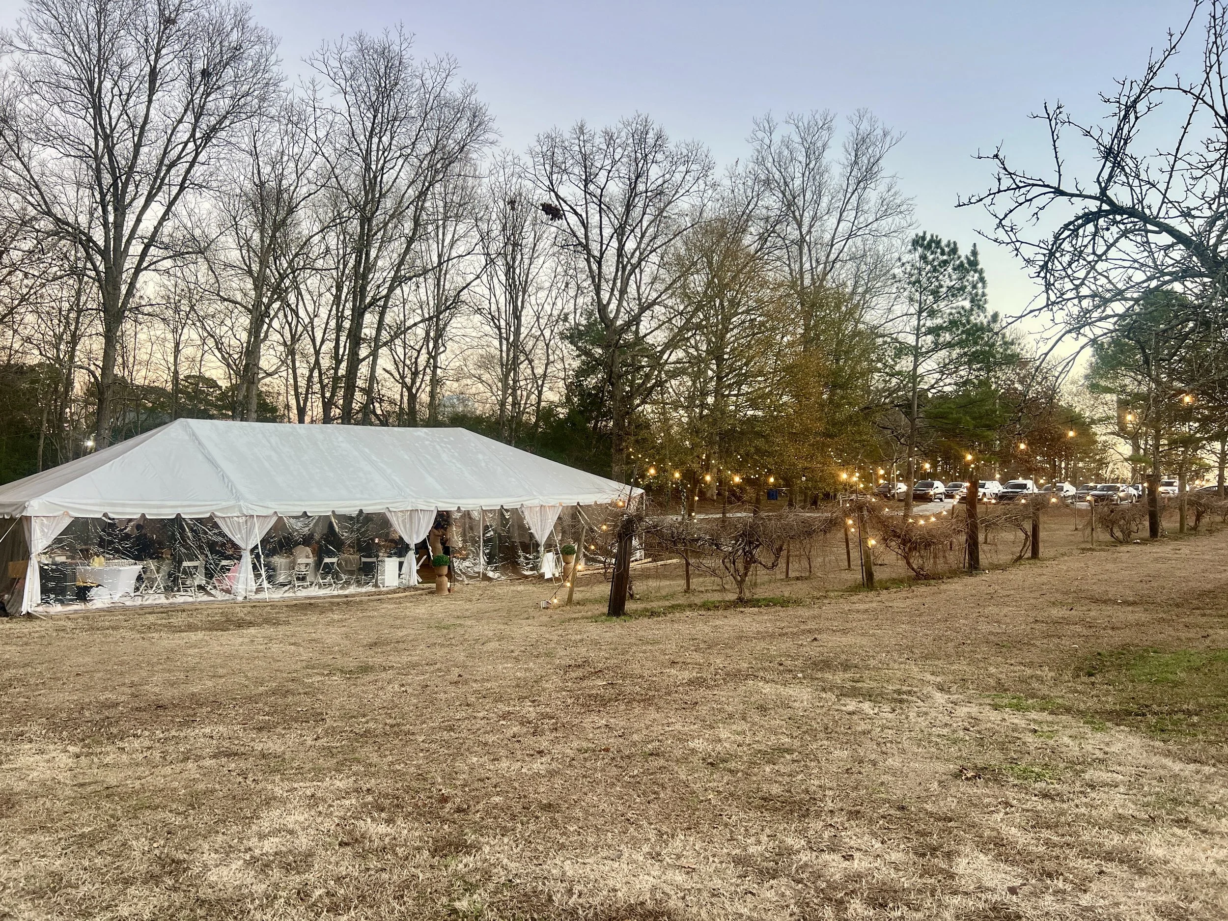 Norwood Vineyard & Gardens in Jonesboro, GA (4)
