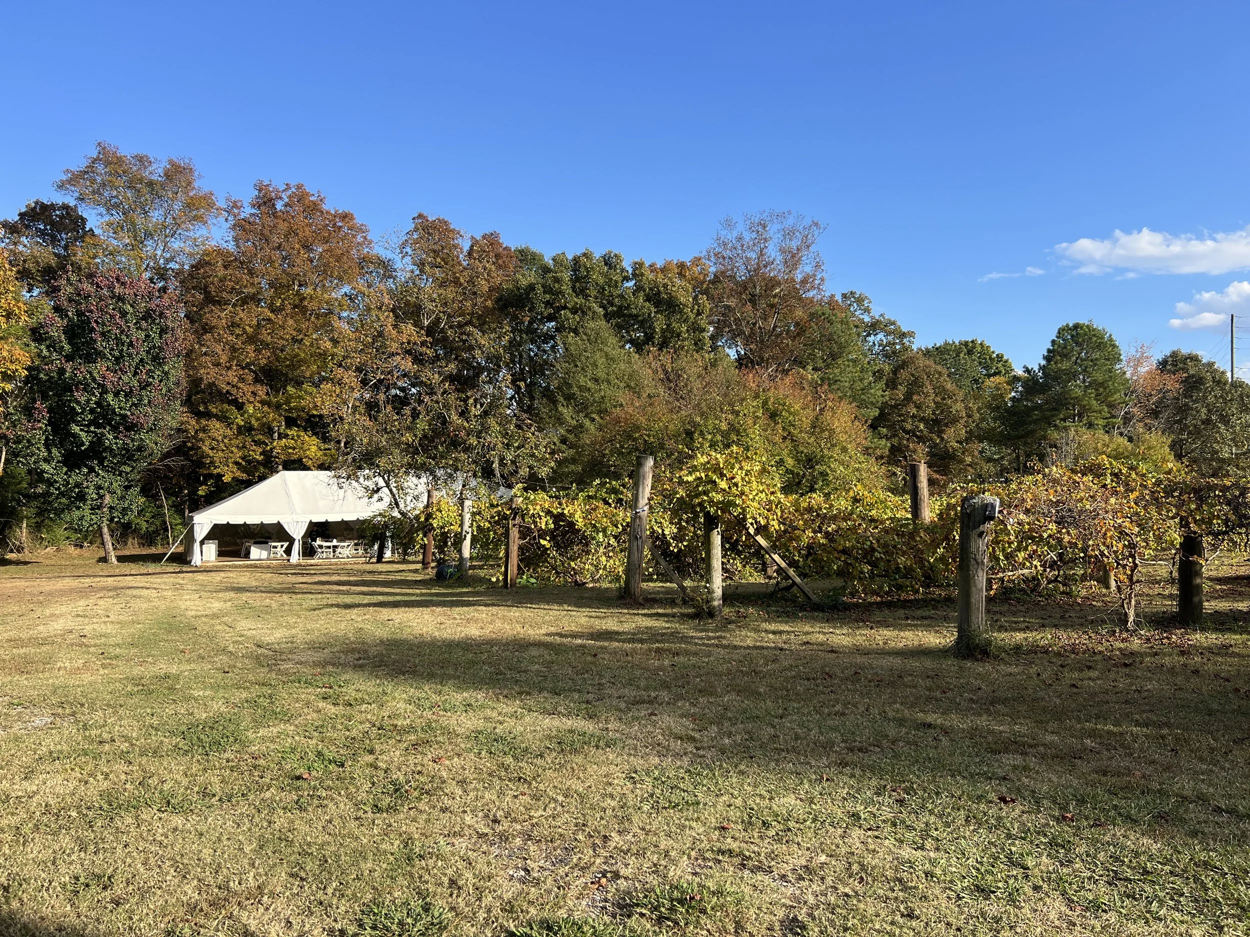 Norwood Vineyard & Gardens in Jonesboro, GA (5)