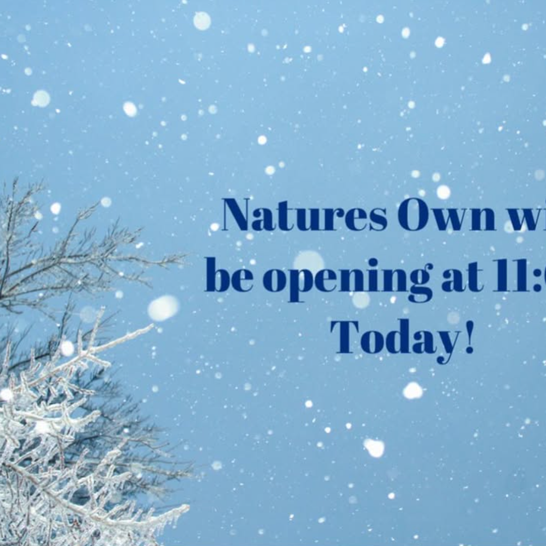 Nature's Own Market in Southern Pines, NC (5)