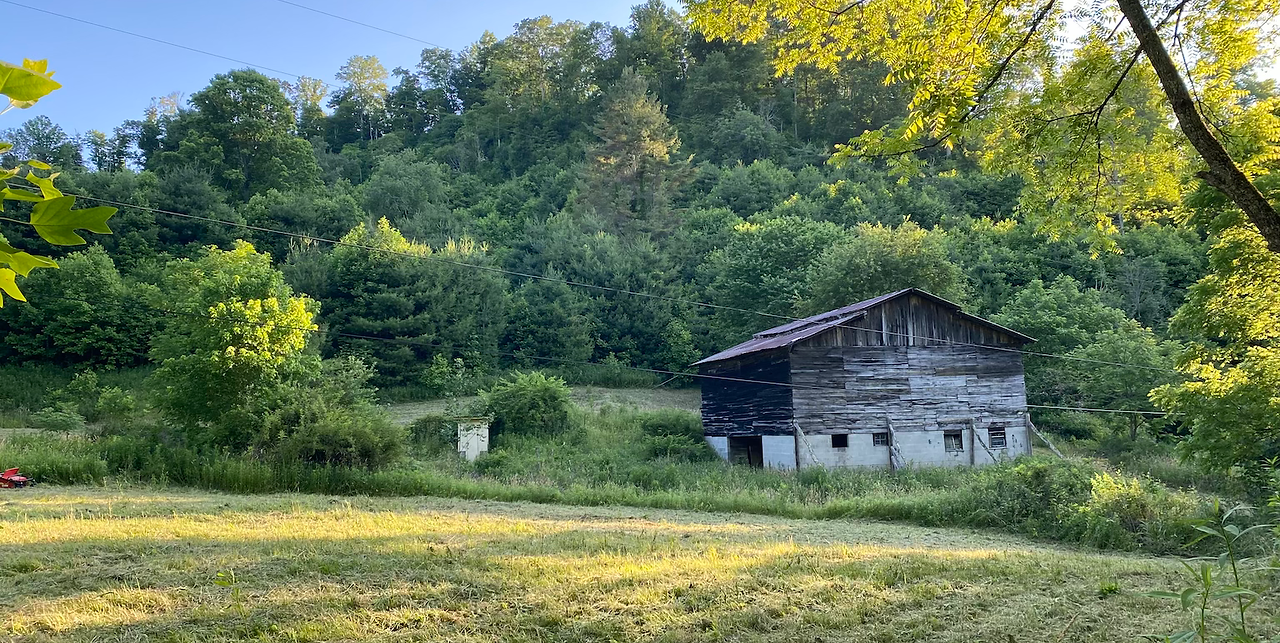 Root Down Depot in Burnsville, NC