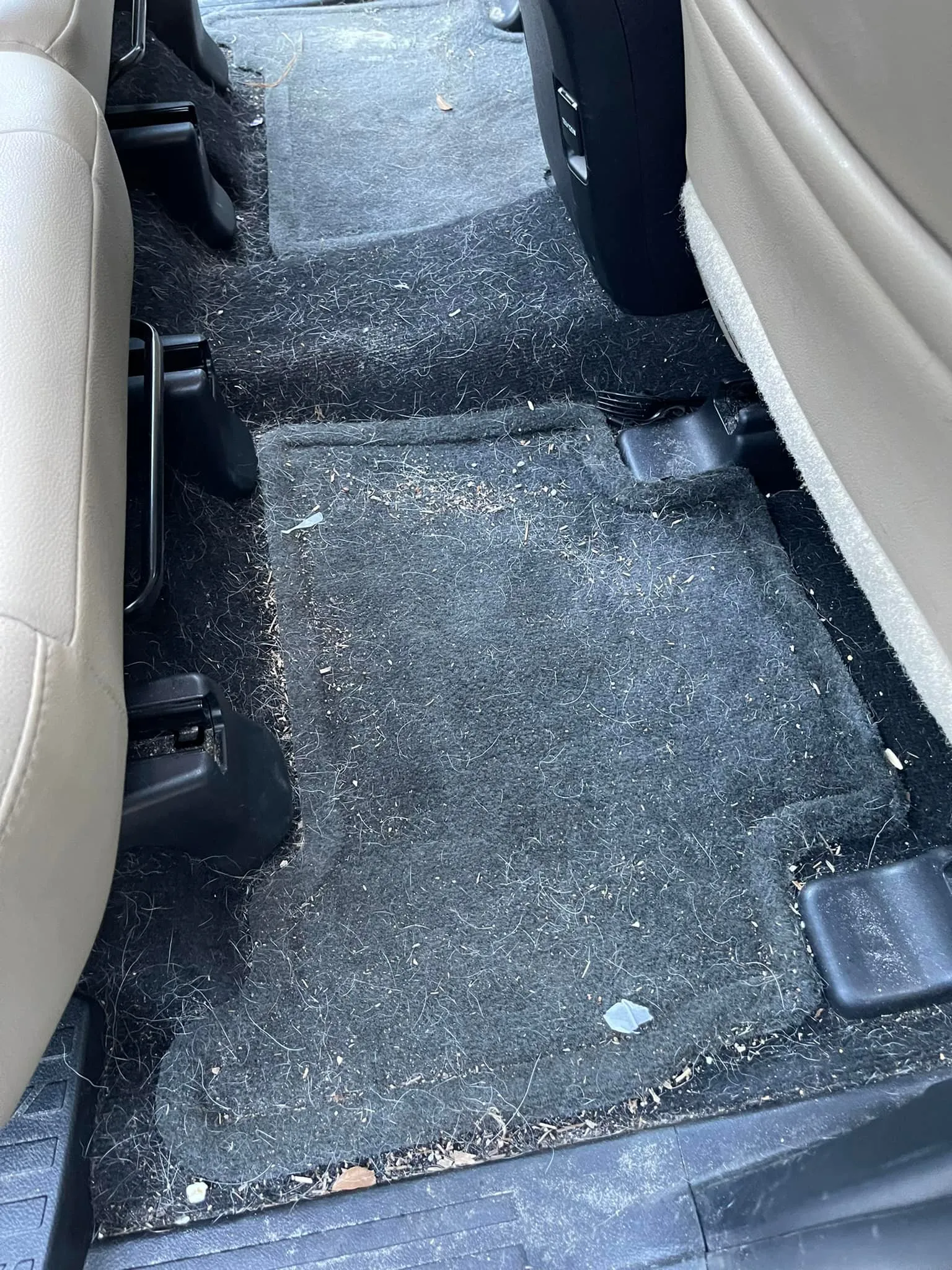 Willis Deluxe Detailing in Dallas, GA