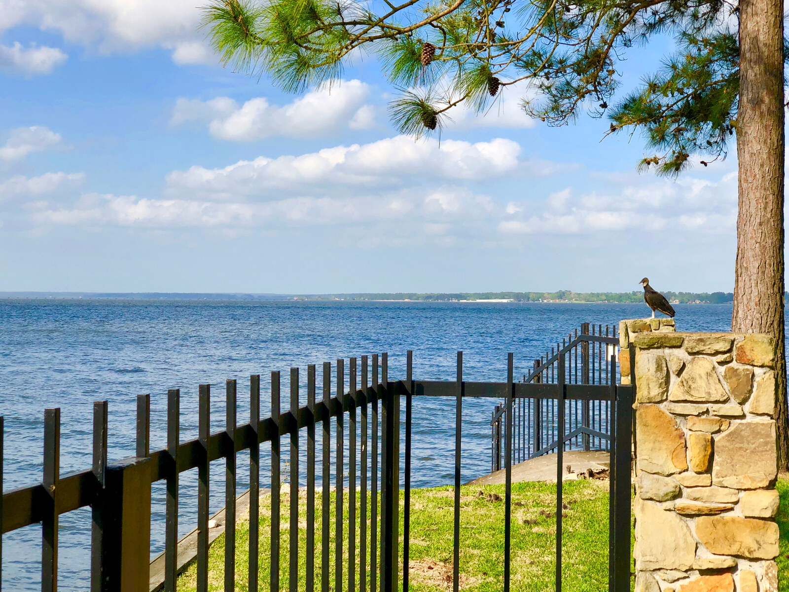 The McKellar Group Real Estate Professionals in Montgomery, TX (2)