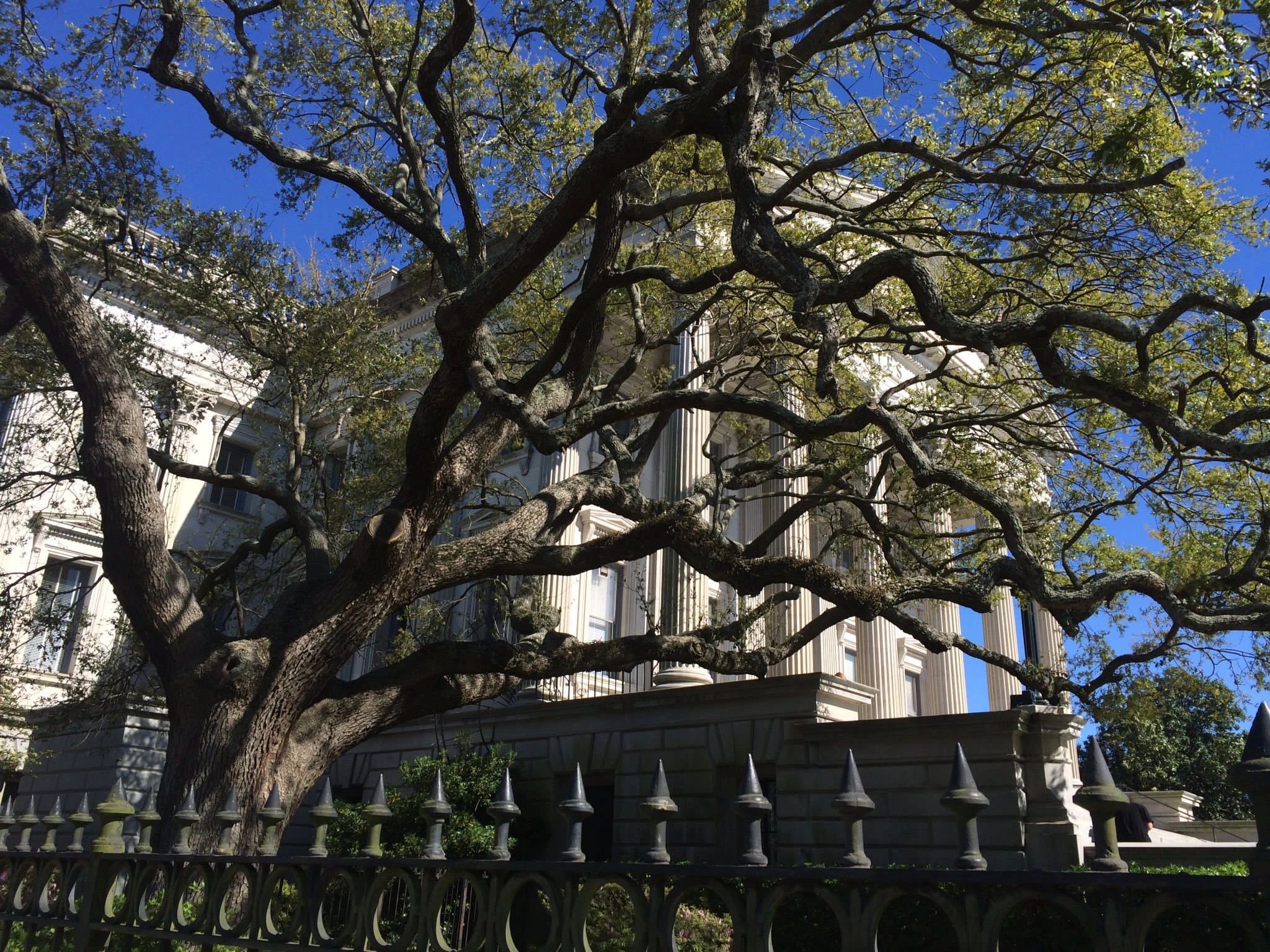 Hill & Hill LLC in Ravenel, SC (2)
