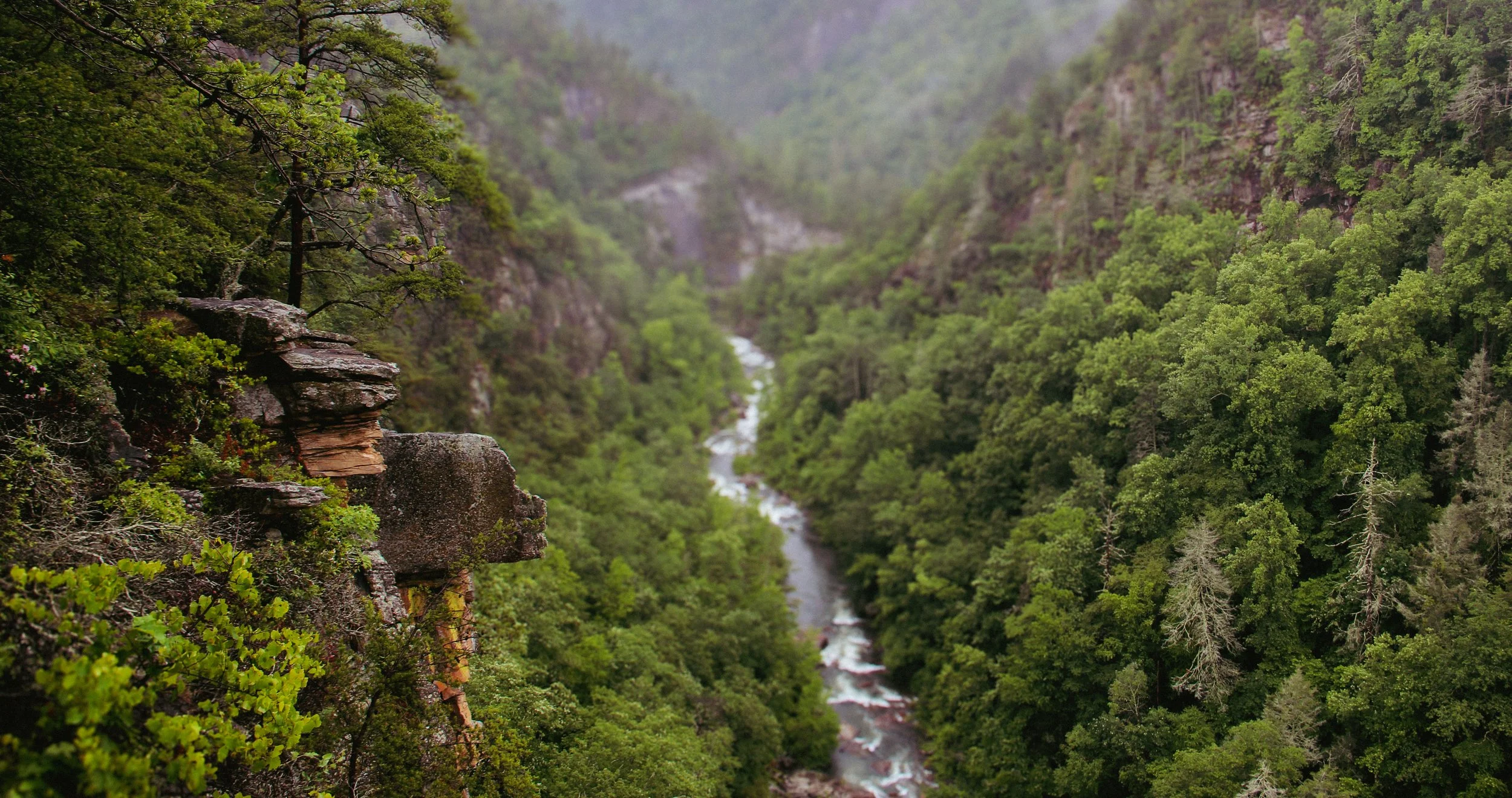 Tallulah Adventures & The Edge Cafe in Tallulah Falls, GA (4)