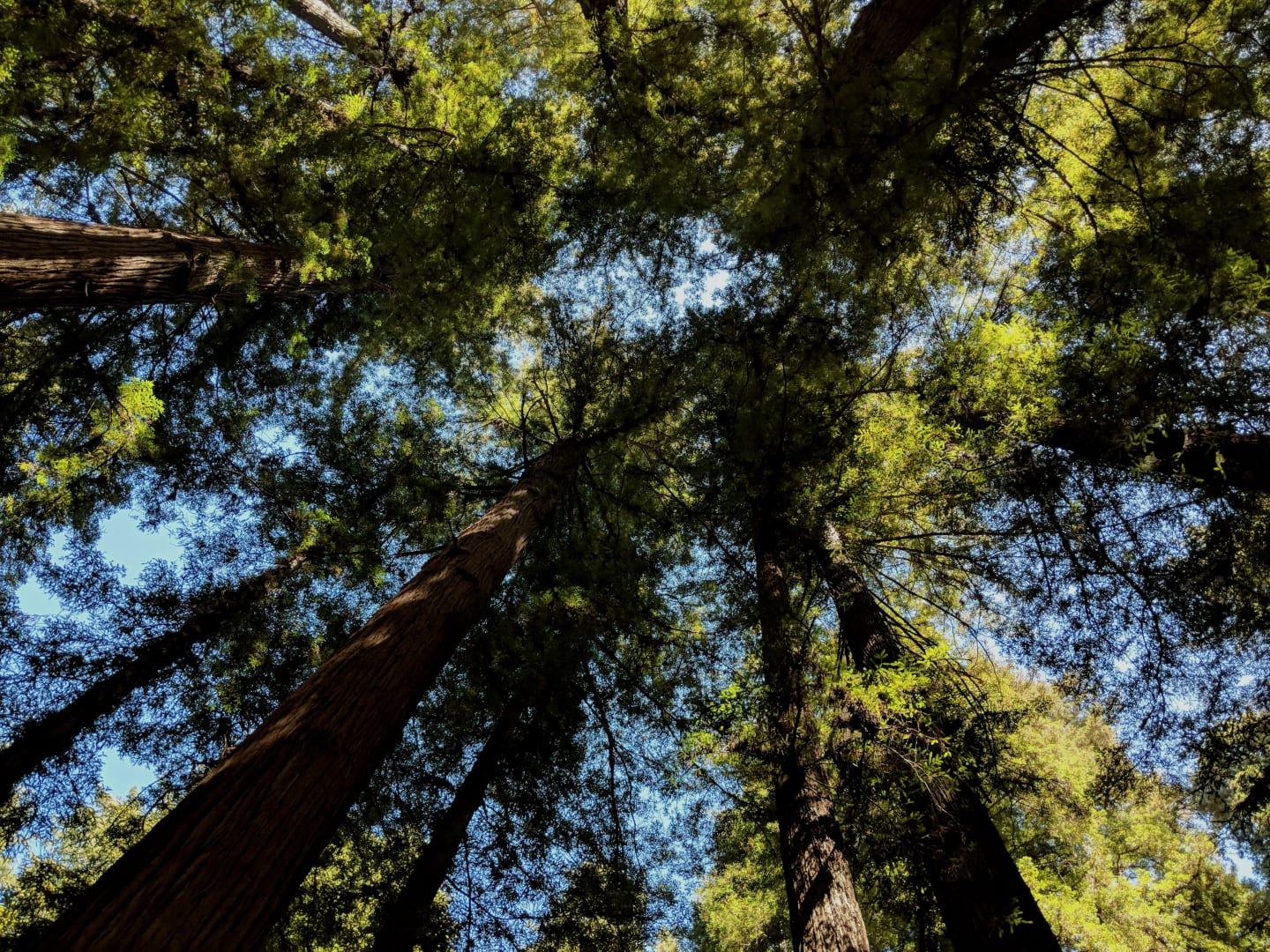 Kaelin Wagnermarsh - Santa Cruz County in Capitola, CA