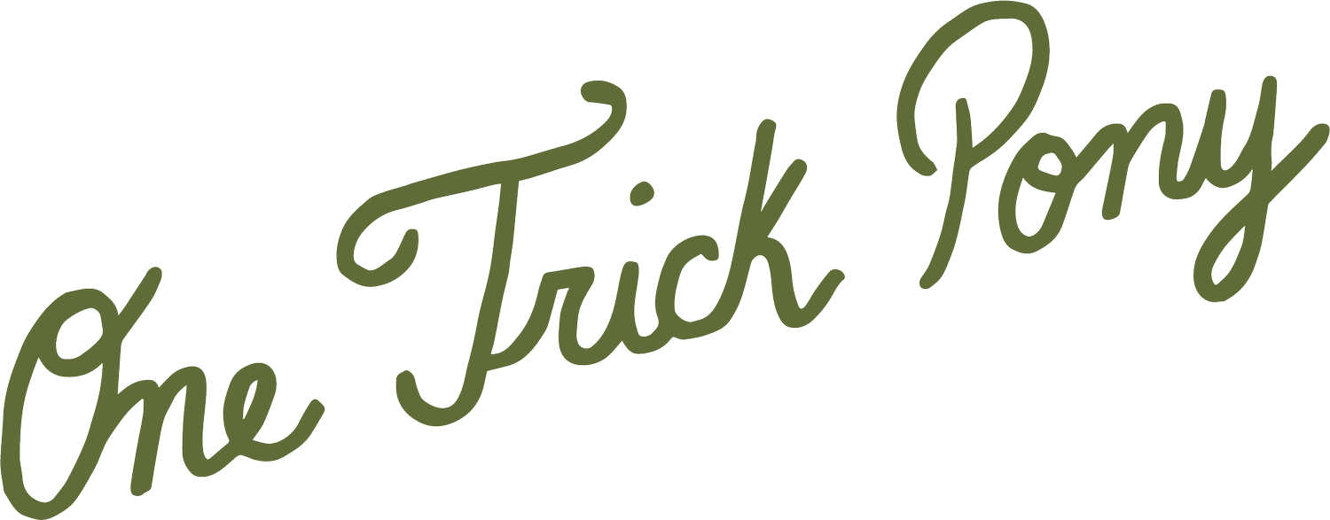 One Trick Pony in Westhampton Beach, NY (4)
