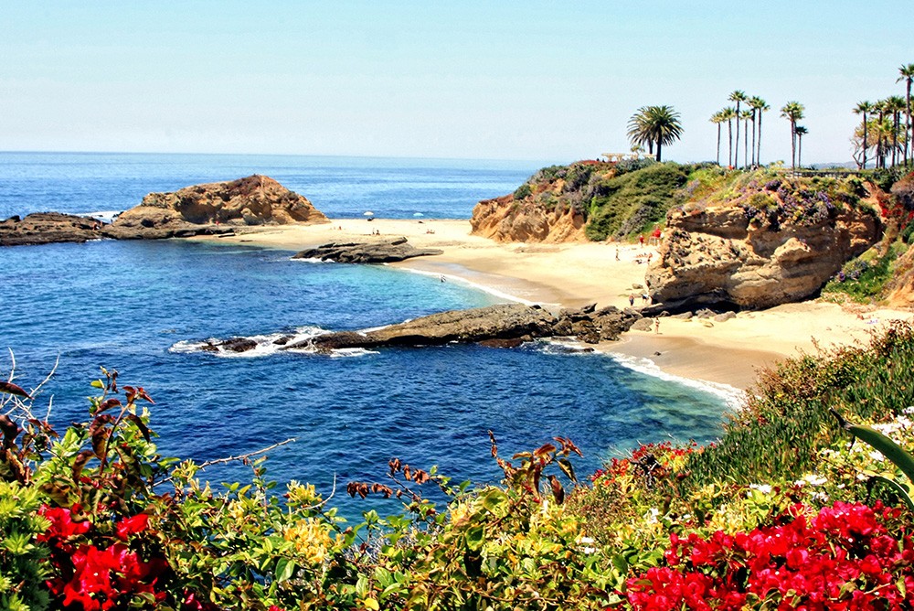 Regency Real Estate Brokers Inc. in Mission Viejo, CA (6)