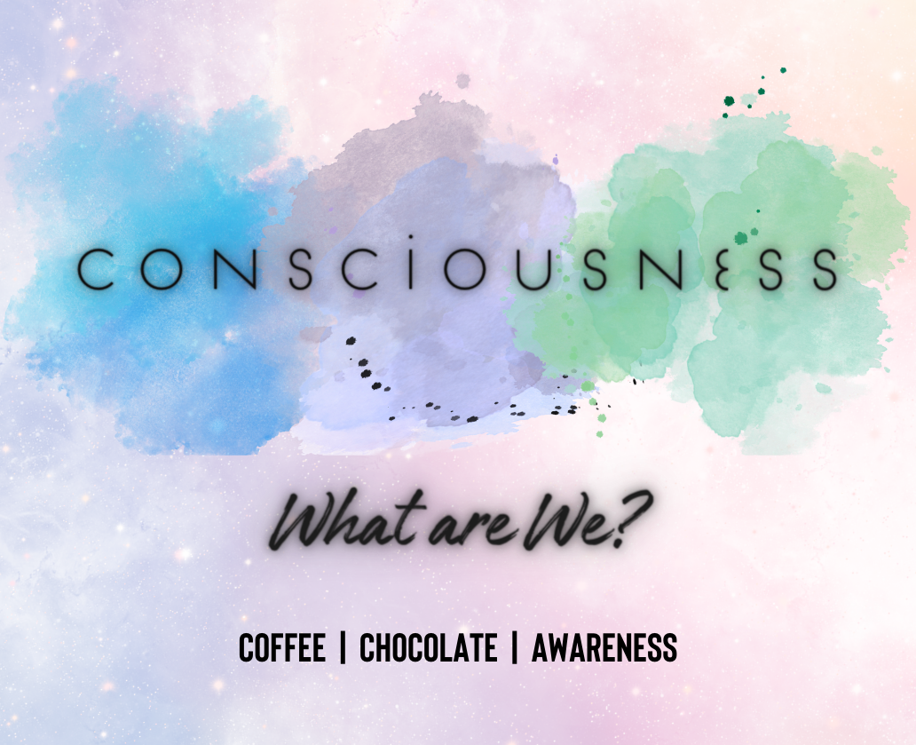 Consciousness Coffee in Lemoyne, PA (3)