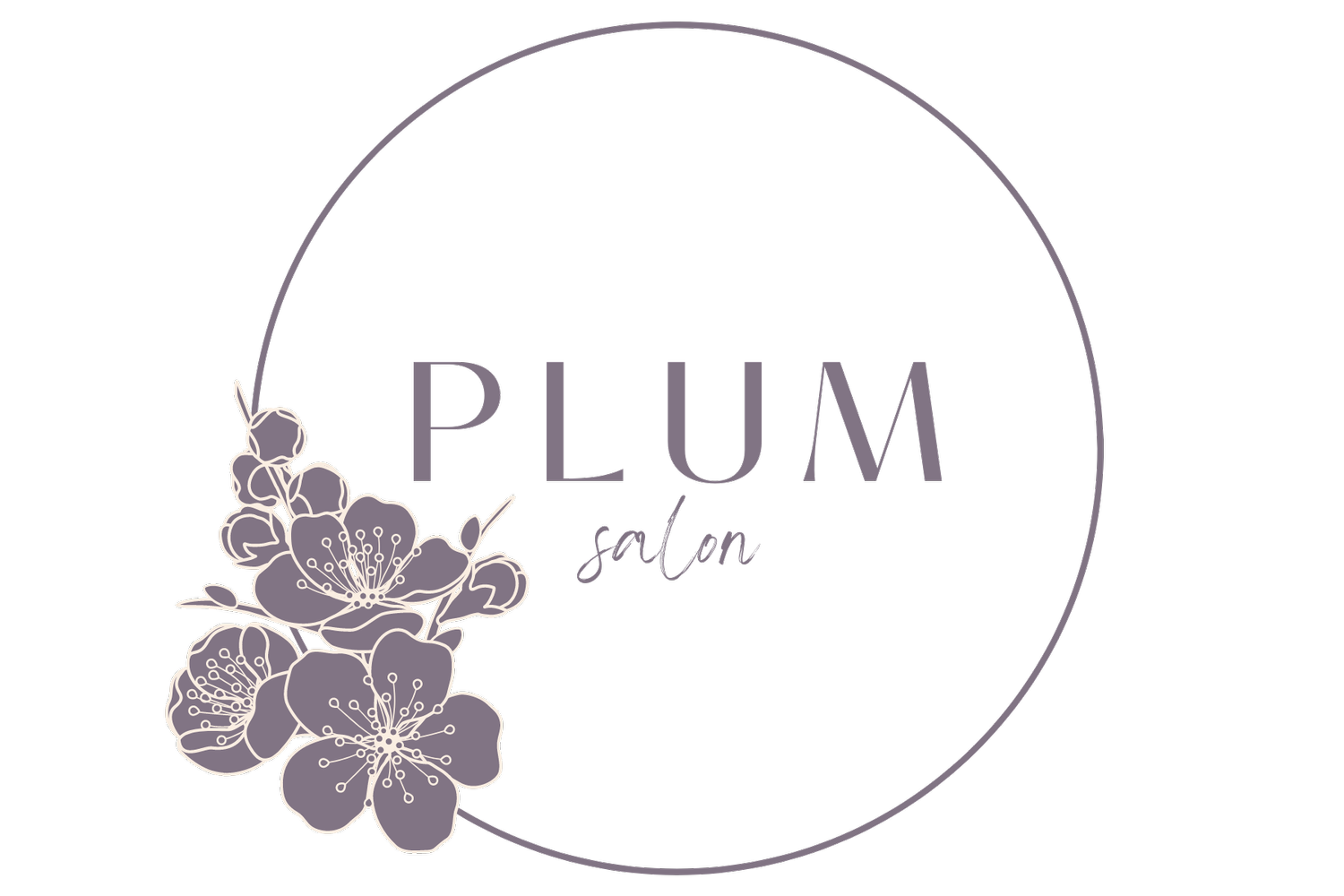 Plum Salon in Corte Madera, CA (3)