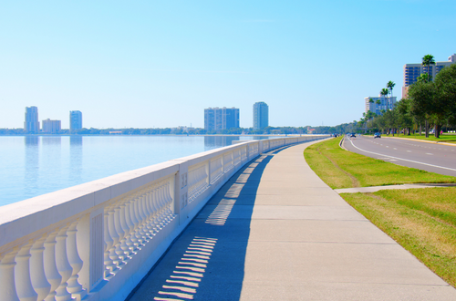 Kim Bergin, Realtor in Lakewood Ranch, Bradenton and St. Petersburg Fl in St. Petersburg, FL (3)