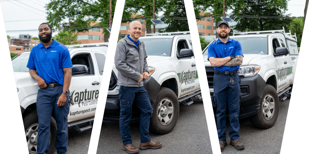 Kapture Pest Control in Old Tappan, NJ (3)