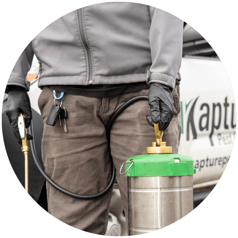 Kapture Pest Control in Old Tappan, NJ (5)