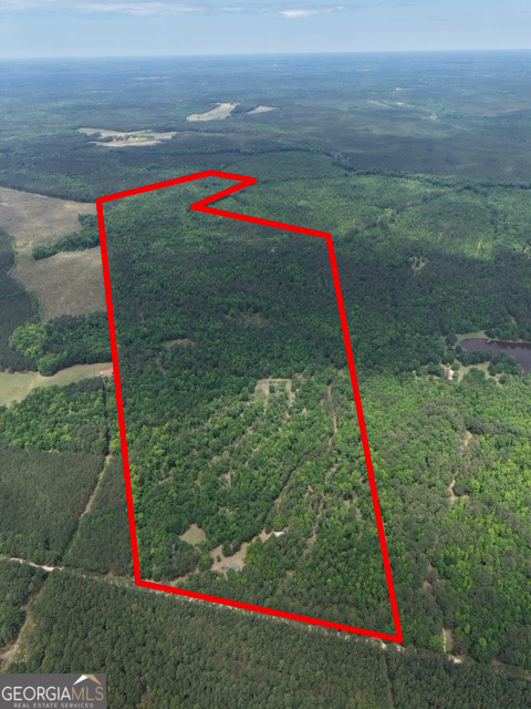 Georgia Land Brokerage in Comer, GA (3)