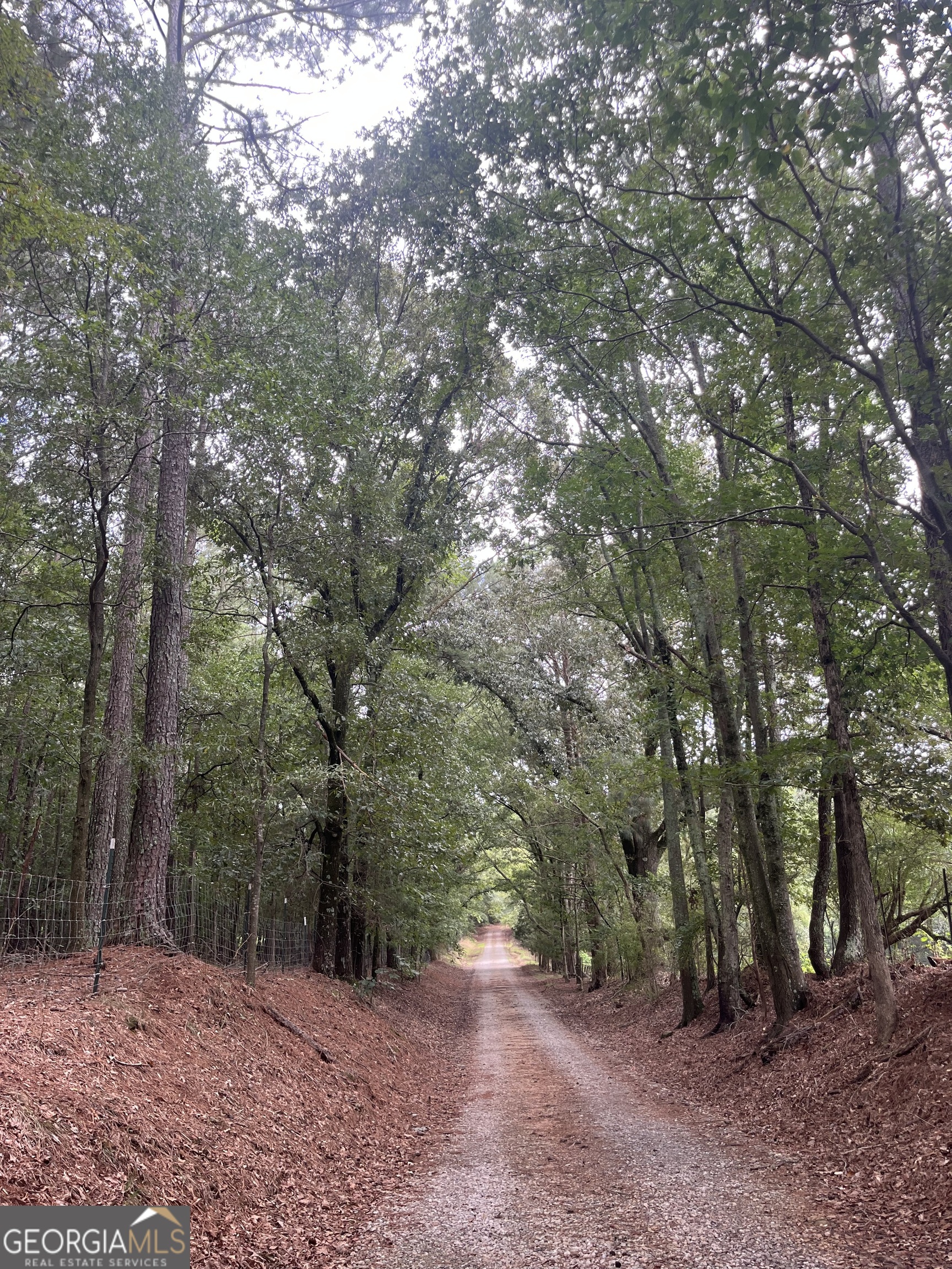 Georgia Land Brokerage in Comer, GA (6)