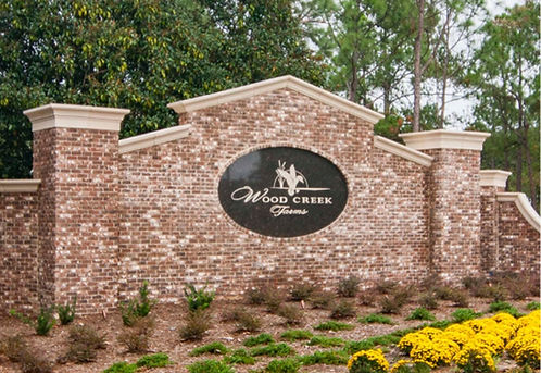 Kiki Wallace - Columbia, SC - REALTOR in Blythewood, SC (3)