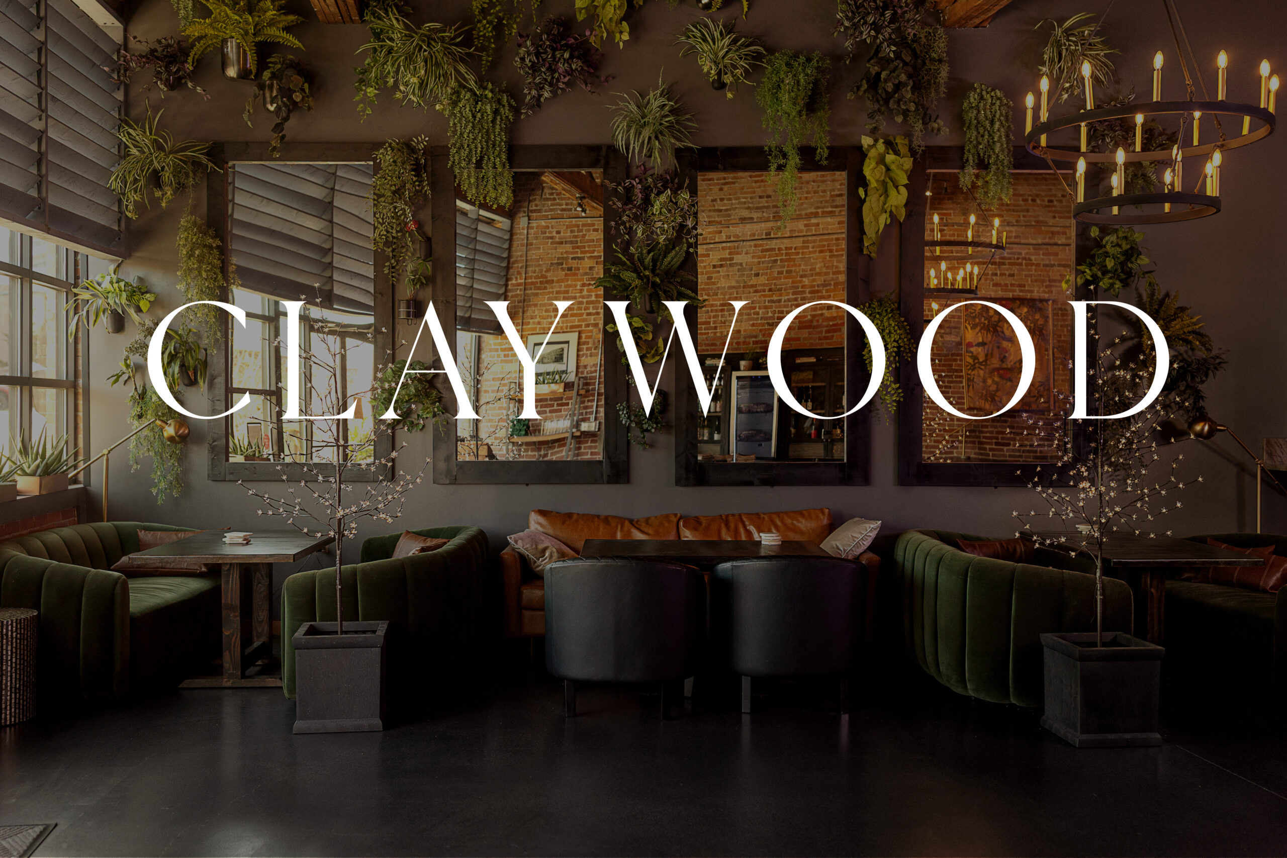 Claywood in Hendersonville, NC (2)