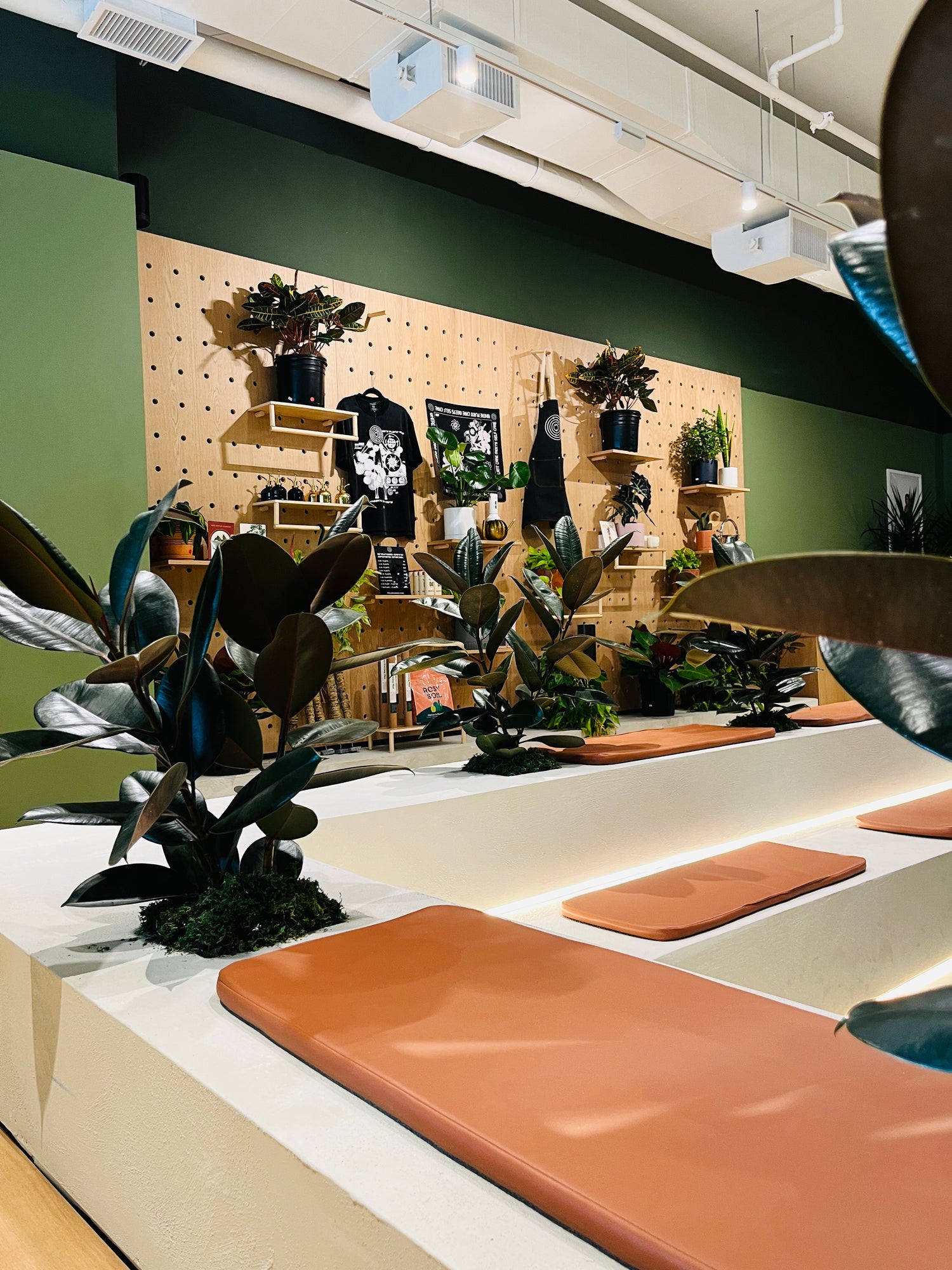 Grounded: Plant Shop, Cafe, & Wellness Studio in Washington, DC (5)