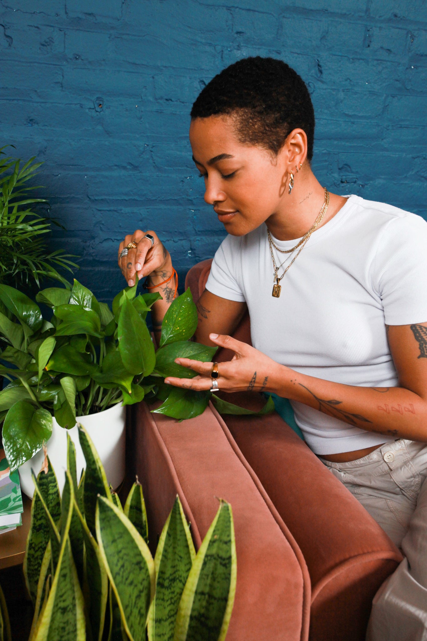 Grounded: Plant Shop, Cafe, & Wellness Studio in Washington, DC (6)