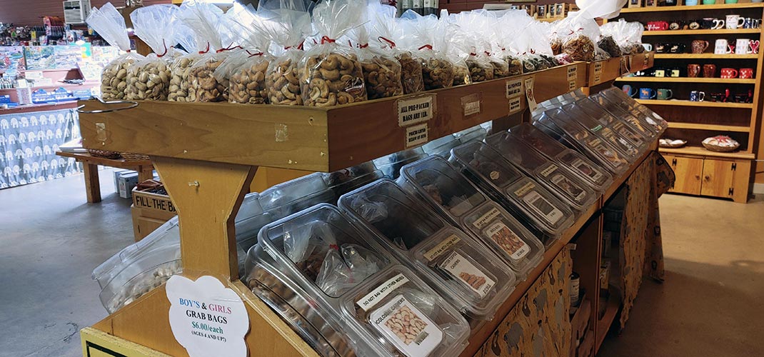Perry's Nut House in Belfast, ME (3)