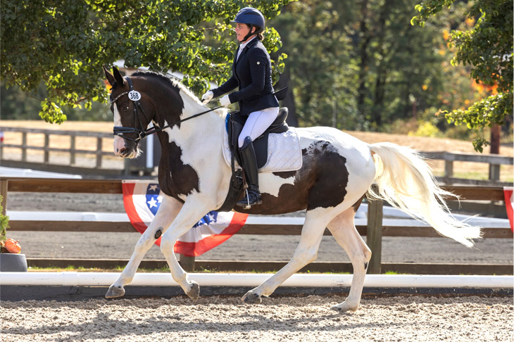 HCS, USA Saddlery Fittings & Sales in Clear Spring, MD (2)