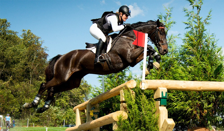 HCS, USA Saddlery Fittings & Sales in Clear Spring, MD (3)