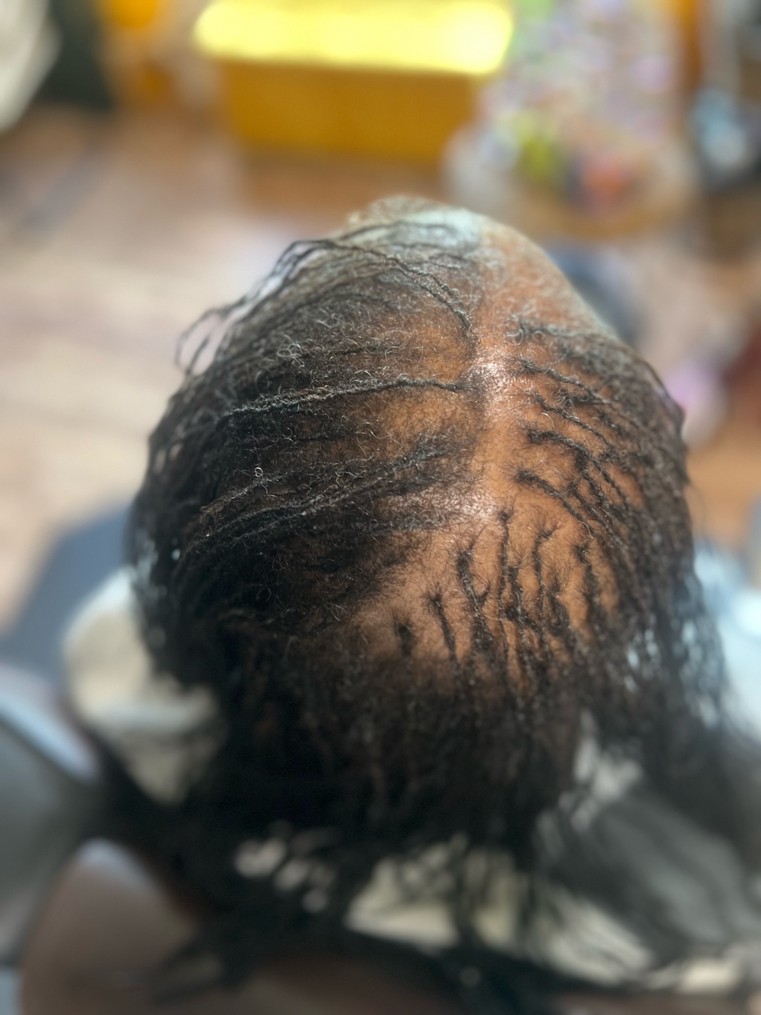 Southwest Florida Beauty & Groom LLC in Fort Myers, FL