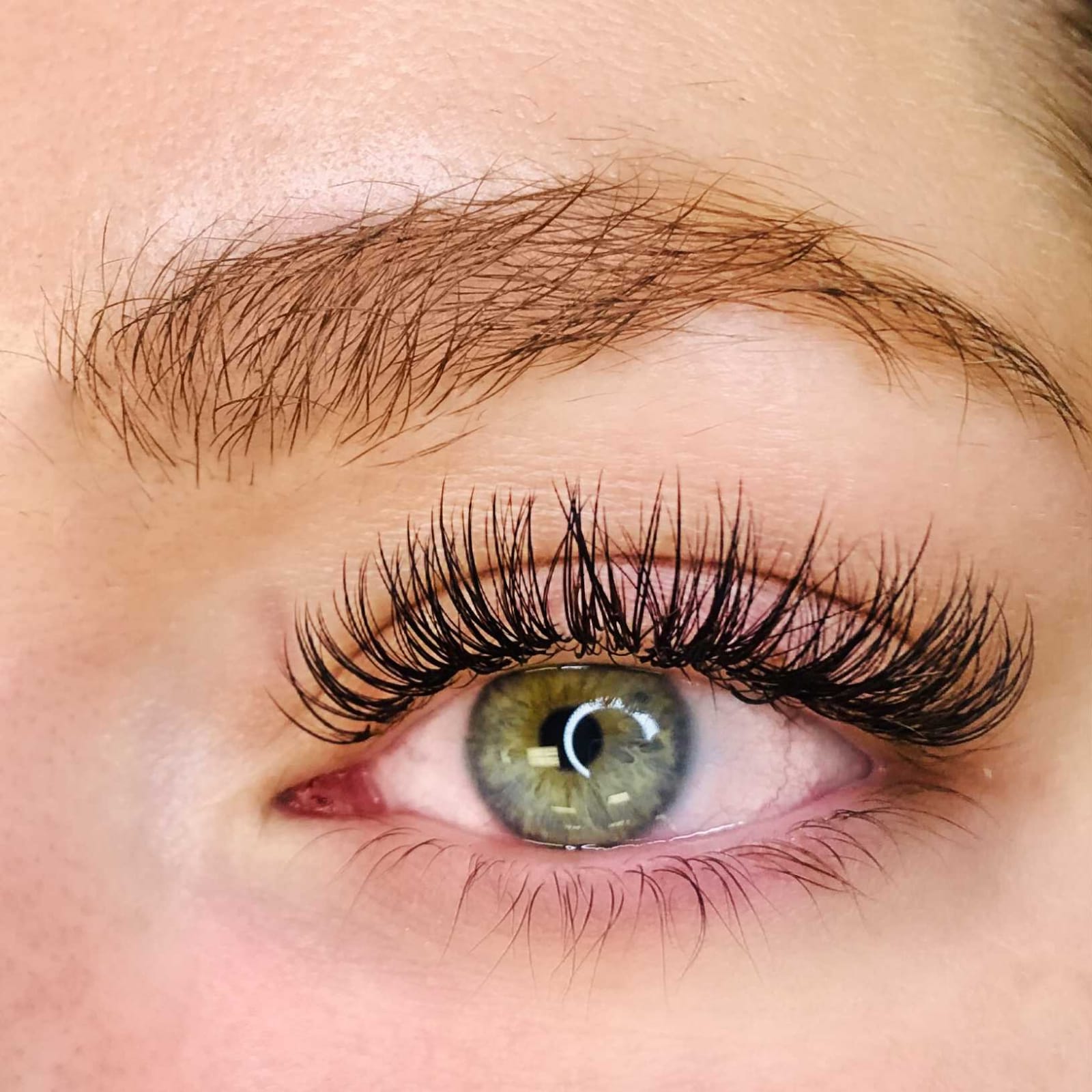 Southwest Florida Beauty & Groom LLC in Fort Myers, FL (6)
