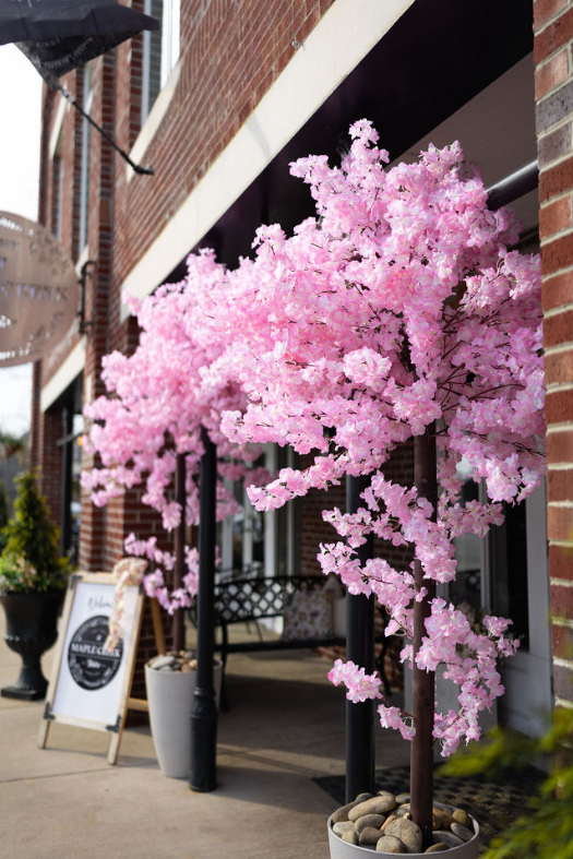 Maple Creek Bistro in Kingston, TN (3)