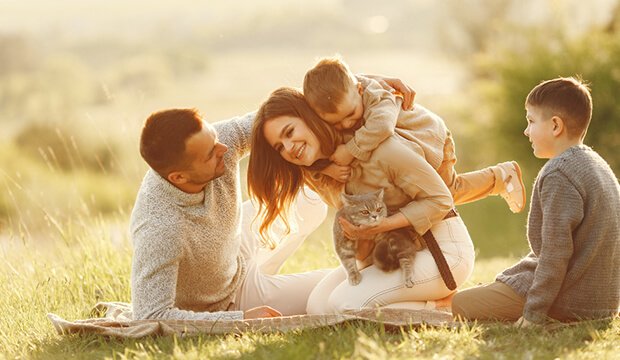 Divorce Lawyer SA in Helotes, TX (4)