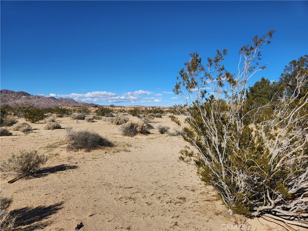 Kristi Hudson | Realtor | High Desert & Southern California · 200+ Families Served in Hesperia, CA (5)