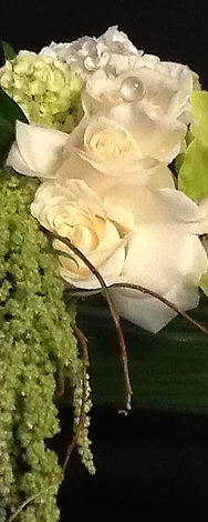 Black Iris in Laguna Beach, CA