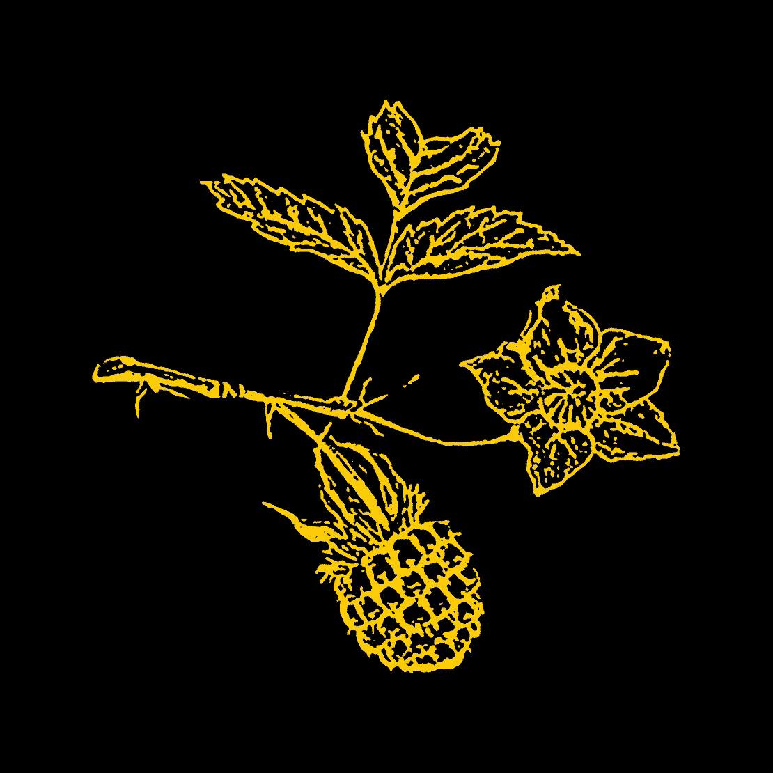 The Salmonberry in Wheeler, OR