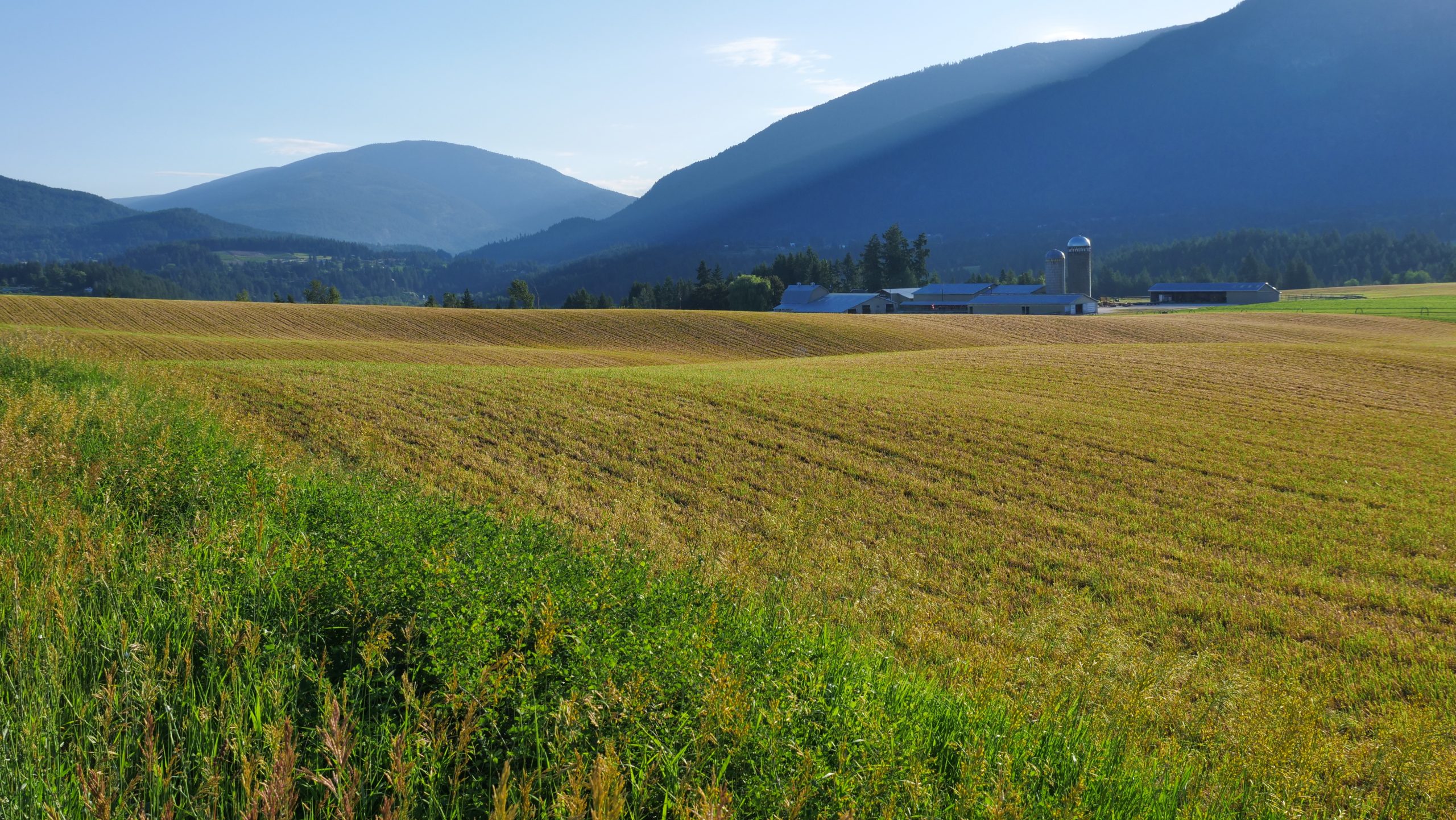Carolina Mountain Properties & Rentals in West Jefferson, NC