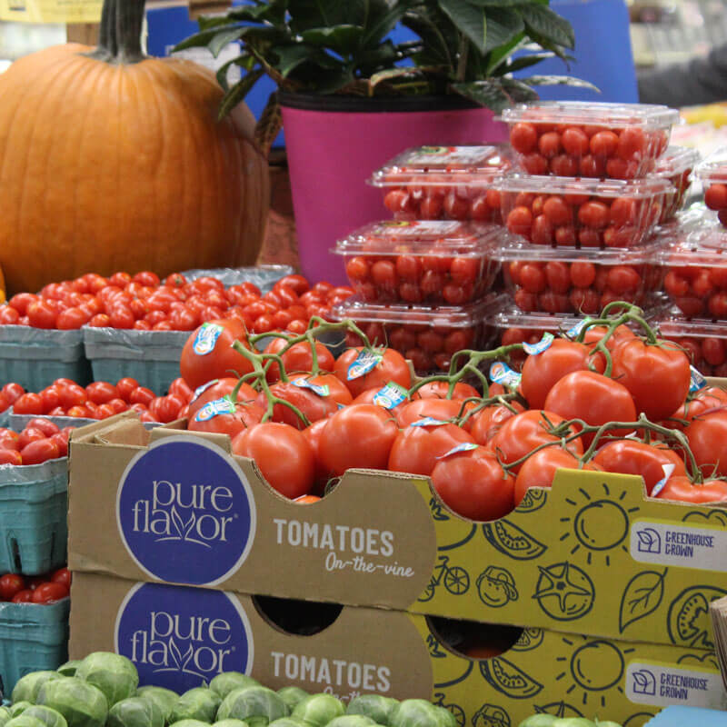 Shillington Farmers Market in Shillington, PA (2)