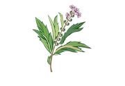 AnyThyme Catering in Bethel Island, CA (4)