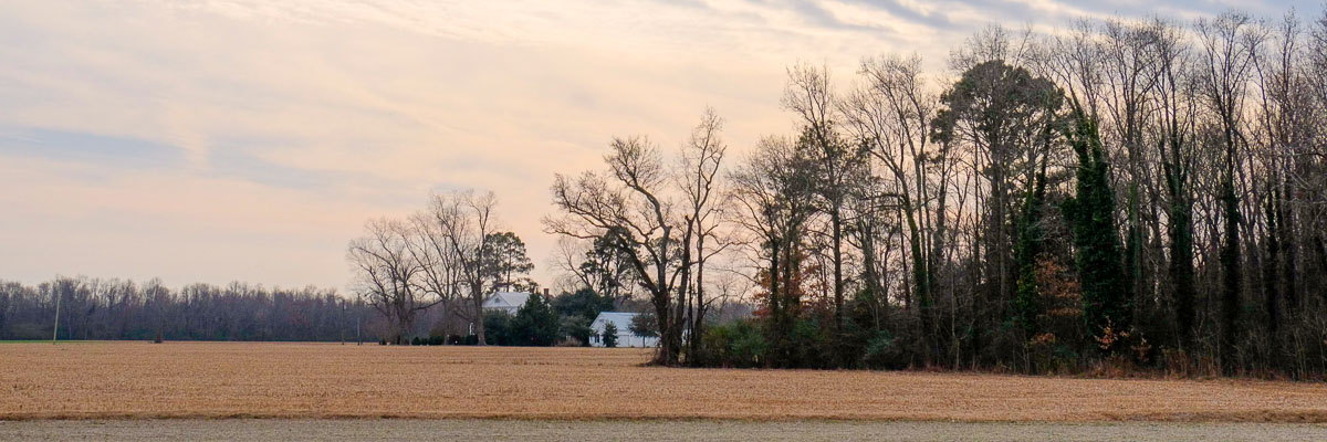 Donna H. Winborne, CPA, P.C. in Edenton, NC (2)
