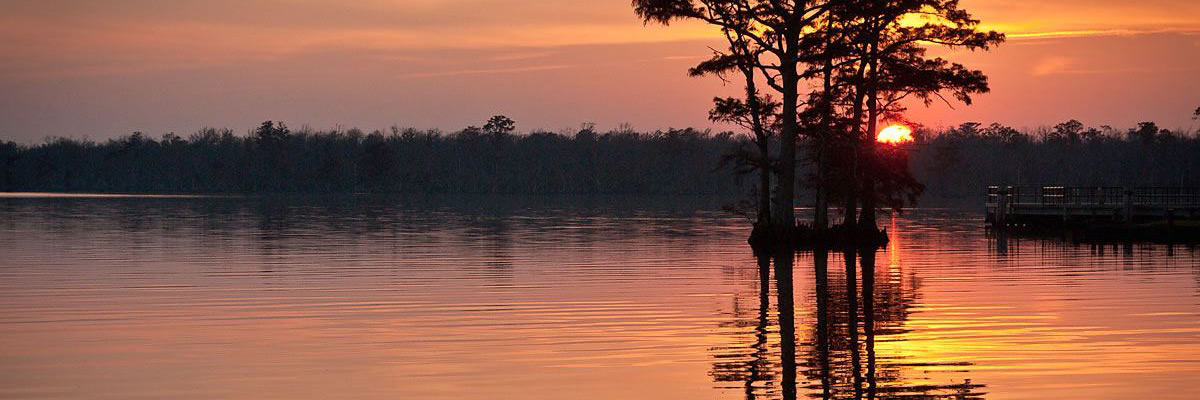 Donna H. Winborne, CPA, P.C. in Edenton, NC (4)