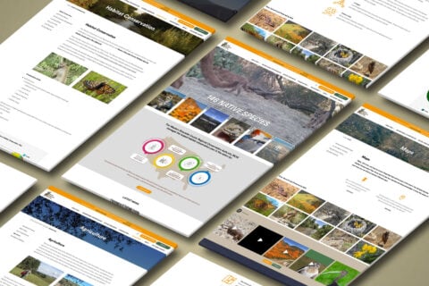 Public Advertising Agency in Temecula, CA (3)