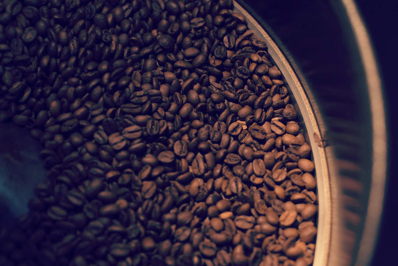 Bestslope Coffee Company in Fruita, CO (3)